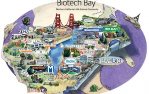 Top Pharmaceutical Companies in San Francisco Bay Area, CA, USA