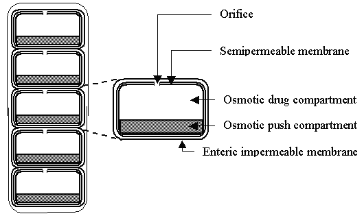 APPROACHES TO COLON-SPECIFIC DRUG DELIVERY [Ceutics notes]