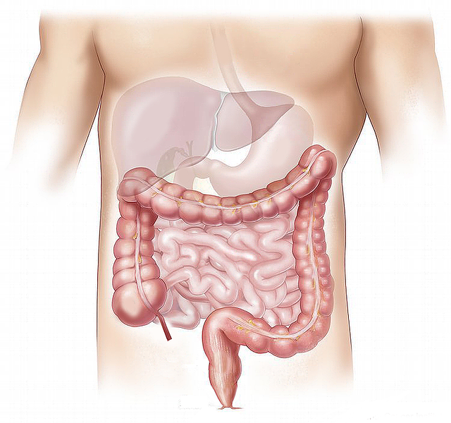 M Pharmacy Parmaceutics Project APPROACHES TO COLON-SPECIFIC DRUG DELIVERY [Ceutics]