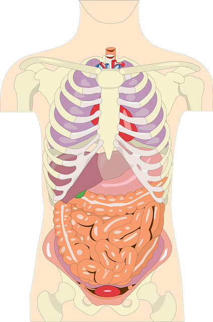 Pharmacology Study Notes Colon COLON SPECIFIC DRUG DELIVERY SYSTEM