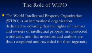 Functions of WIPO