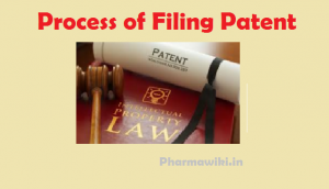 What is IPR Patent Process of filing a Patent Application