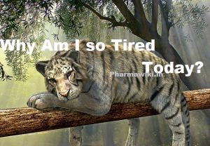 Why Am I so Tired? Today's Causes & Reasons of Fatigue || MEN WOMEN Tiredness