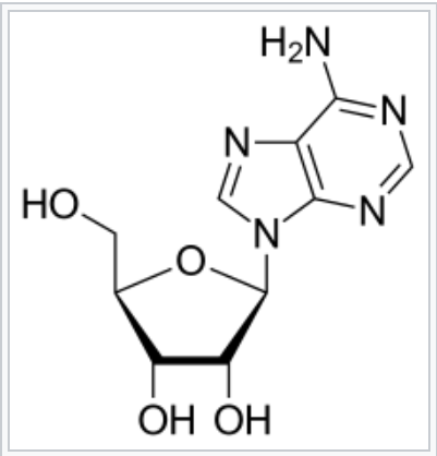 Adenosine Classes Function Dose side effects Pharmacodynamics Brand name Structure