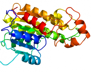 Protein Homology Modelling PPT PDF for students researchers scholars images